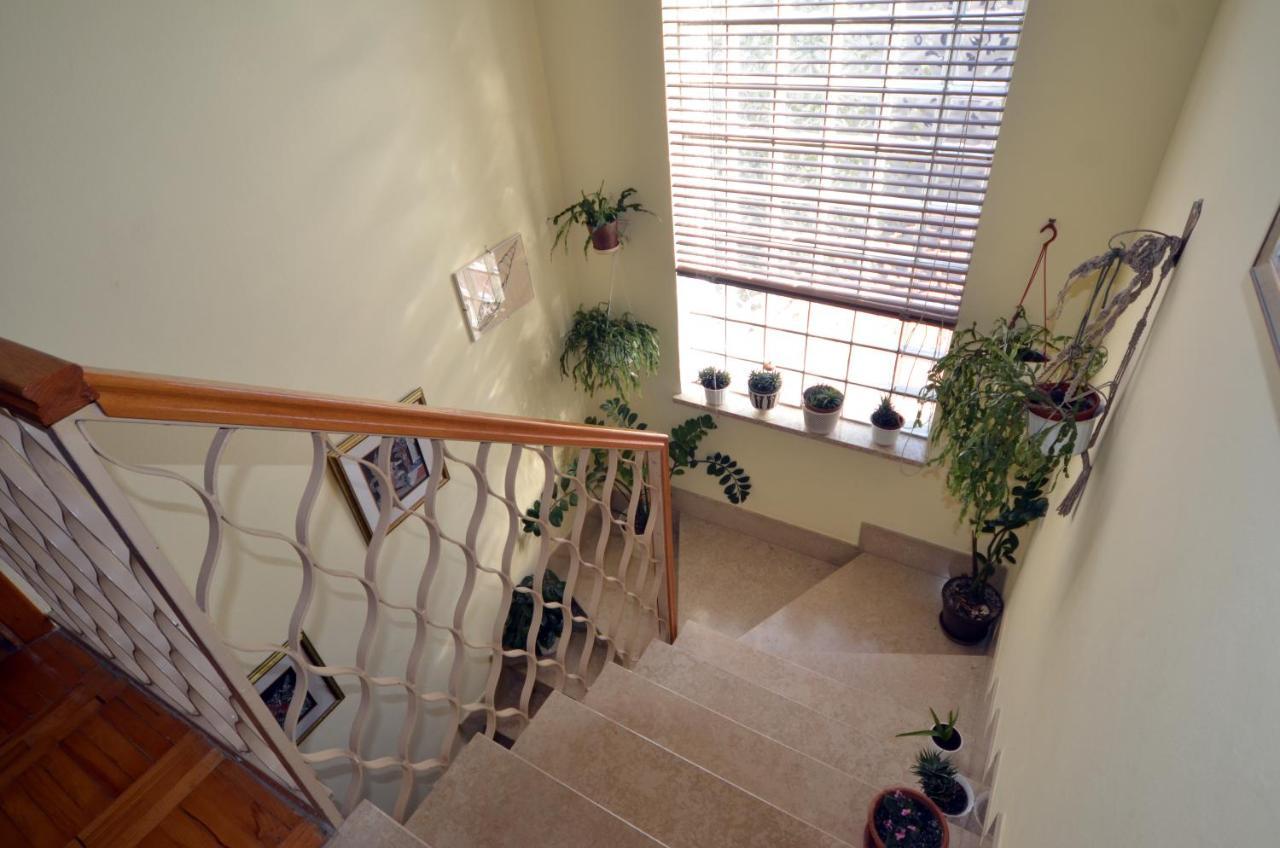 Aneli Rooms & Apartament Rovinj Eksteriør bilde